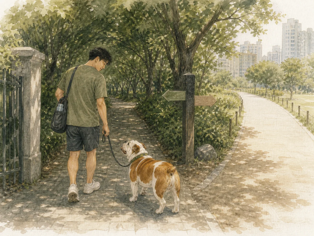 햇볕이 드는 긴 길 대신 나무 그늘의 짧은 길로 방향을 바꾸는 보호자와 성견 불독 삽화